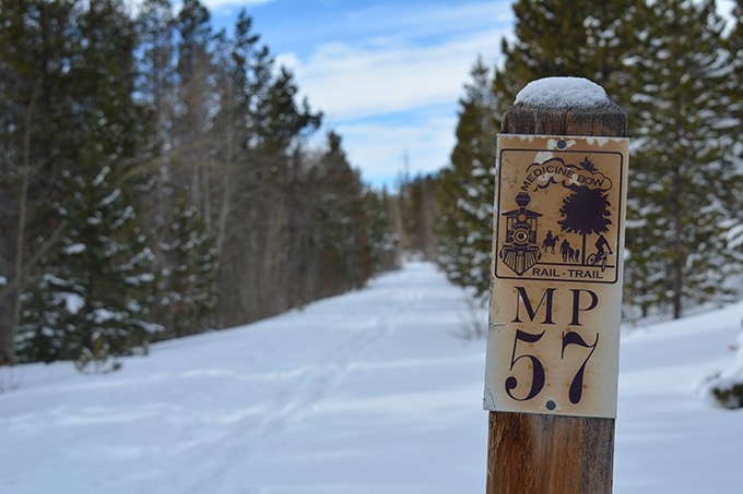 Rail Trail in the Medicine Bow National Forest.