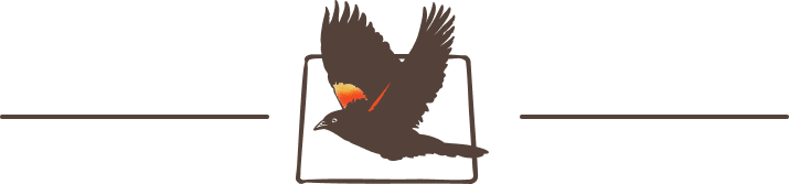Illustrated red-winged blackbird in flight with the outline of WY in the background.
